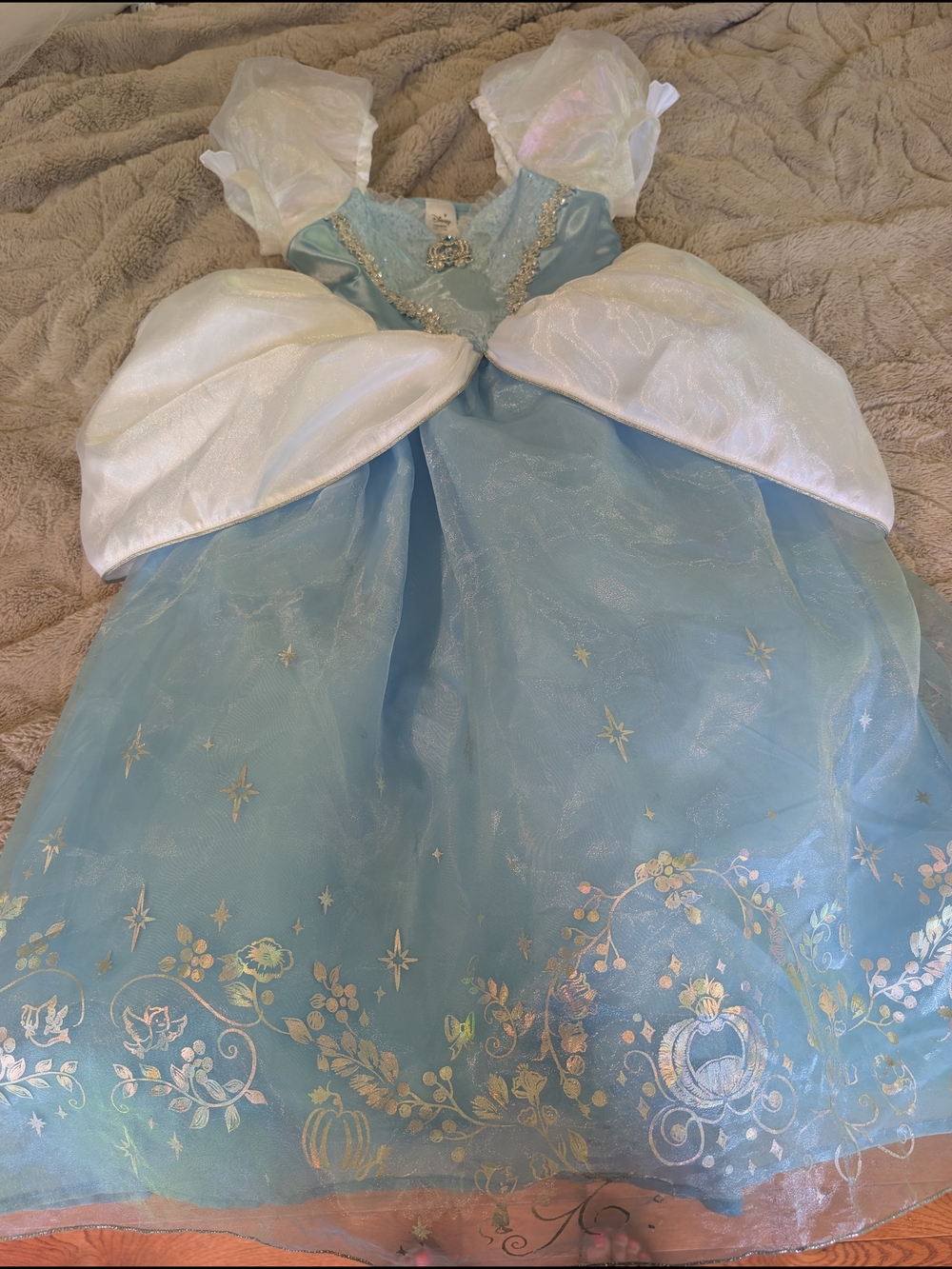 Disney Light Blue and White Princess Theater Dress